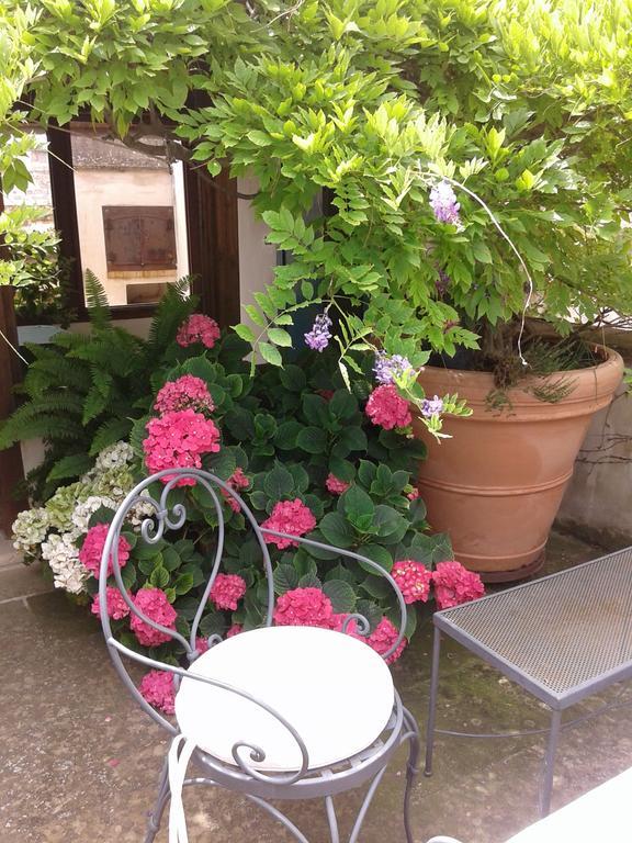 B&B Le Terrazze Bisceglie Exterior foto